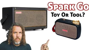 Why Did I Purchase This? ‐ The Positive Grid Spark Go